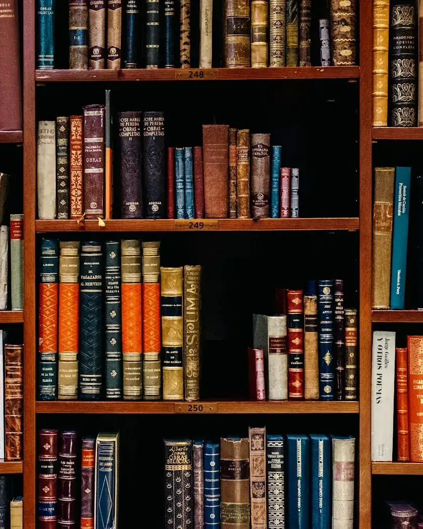 قارئ يتصفّح كتابًا في مكتبة